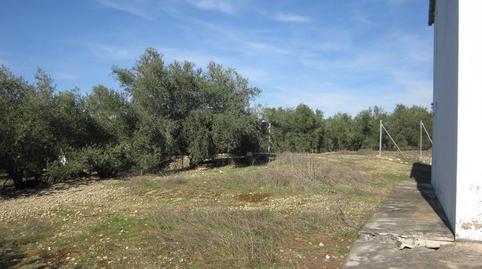 Foto 4 de Casa o xalet en venda a Paraje Los Prietos, Pol.15, Par.97, 15, Las Vegas - Campoaras, Lucena