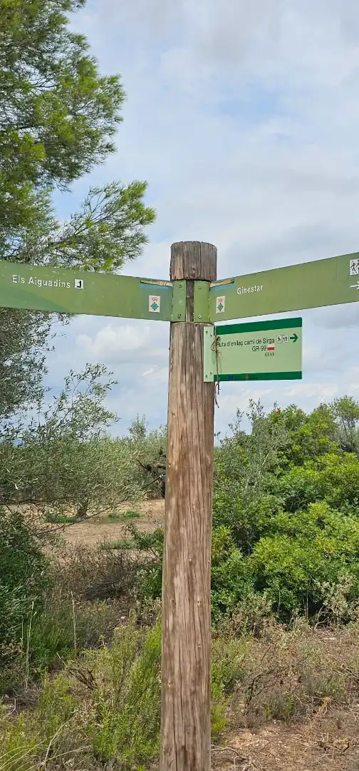 Land for sale in Móra d'Ebre