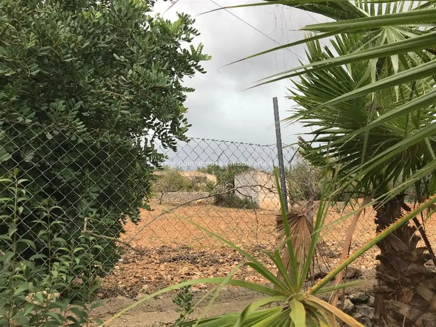 Wohnbaugrundstück zum Verkauf in Muro, imagen 12