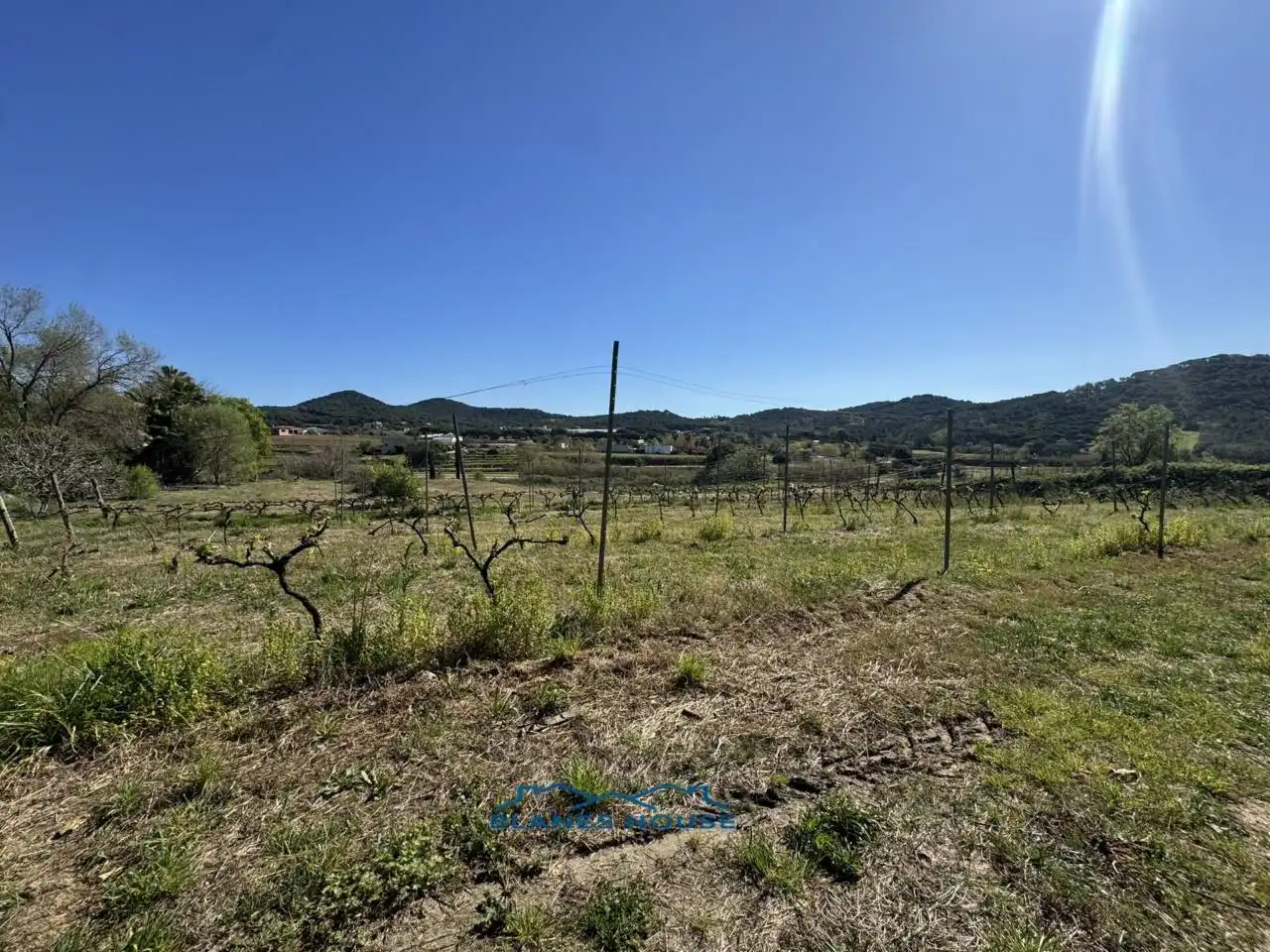 Terreno rustico in vendita a Calle Bosch Rabasa 1, imagen 3