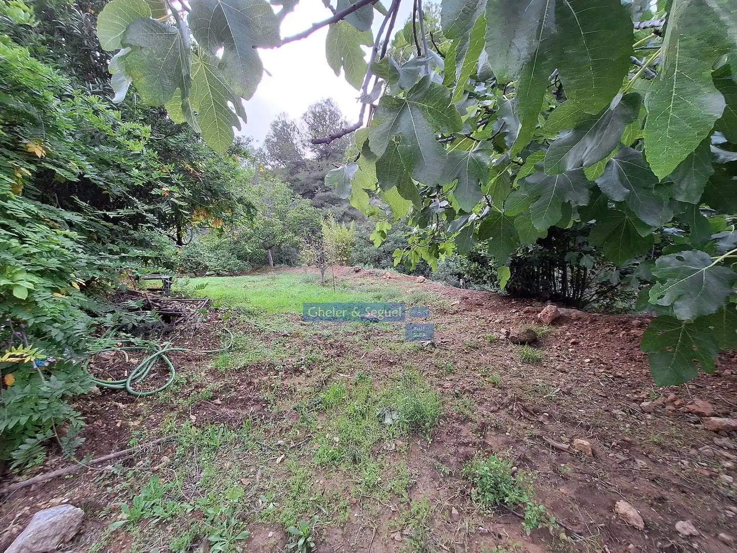 Terreni e lotti in vendita a Serra, imagen 7