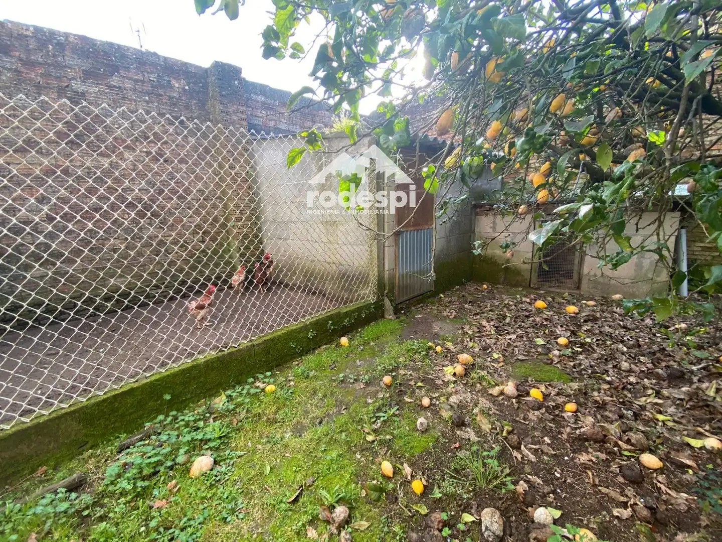 Garden of Houses for sale in Crecente  with Heating, Storage room and Swimming Pool
