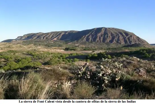 Land for sale in Camí de l'Alcoraia, 21, Cañada del Fenollar