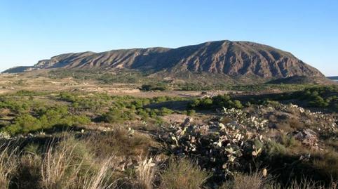 Photo 2 of Land for sale in Camí de L'alcoraia, 21, Cañada del Fenollar, Alicante / Alacant