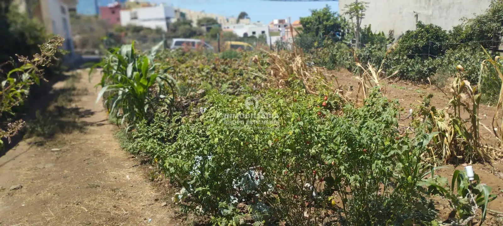 Casa o xalet en venda en La Orotava amb Terrassa i Traster