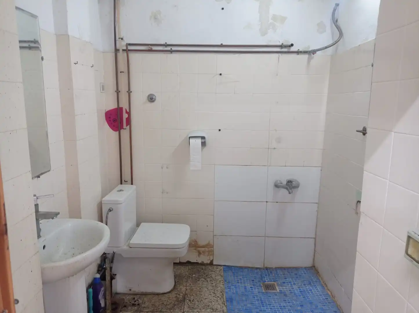 Local comercial en alquiler en Santa Rosa, imagen 7