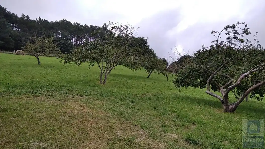 Grundstücke und Bauplätze zum Verkauf in Illas, imagen 14
