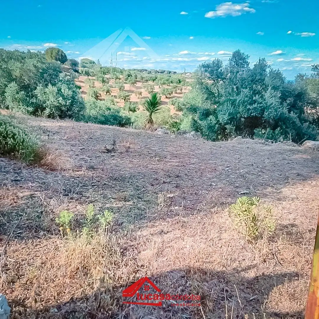 Terreny rústic en venda a Periurbano Oeste - Sierra