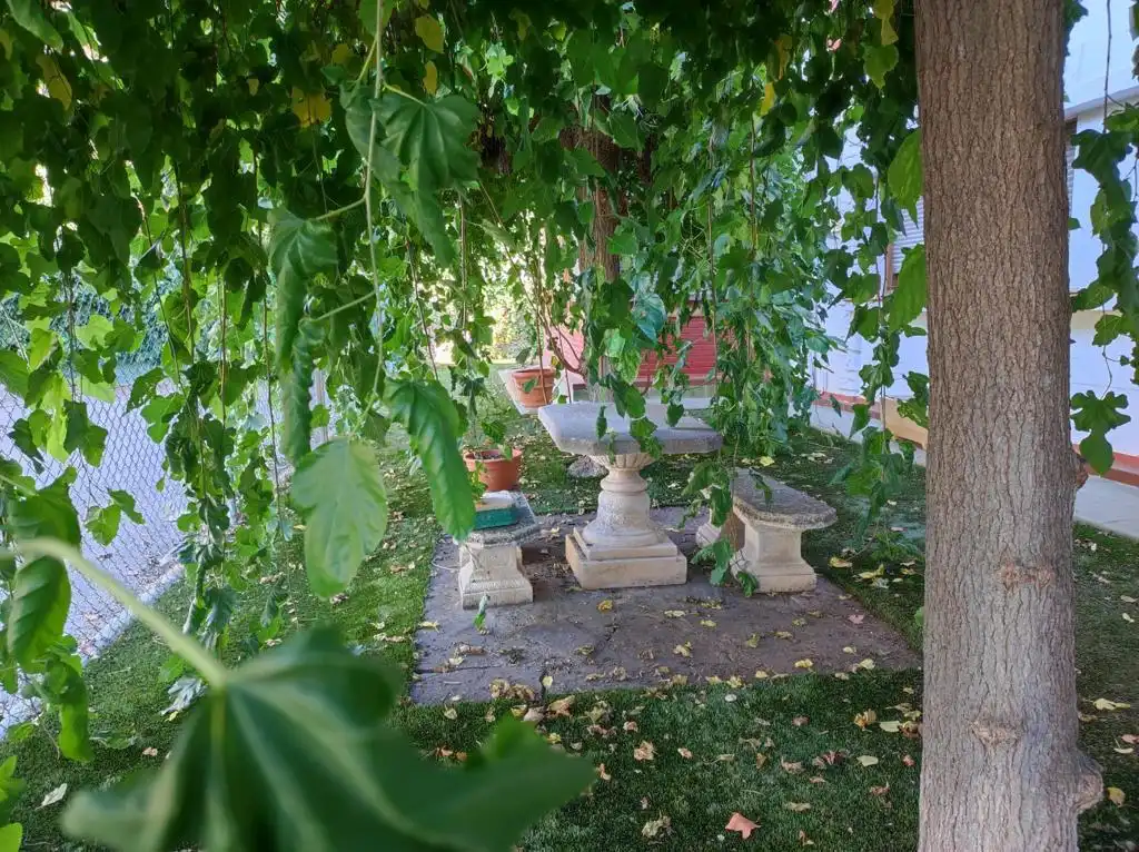 Garden of Houses for rent in Zaragoza  with Air Conditioner, Heating and Private garden