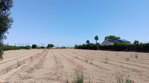 Foto 5 de Casa o xalet en venda a Dolores, Alicante
