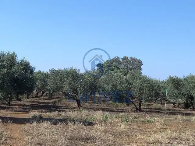 Rural land for sale in Fuente Obejuna, imagen 38