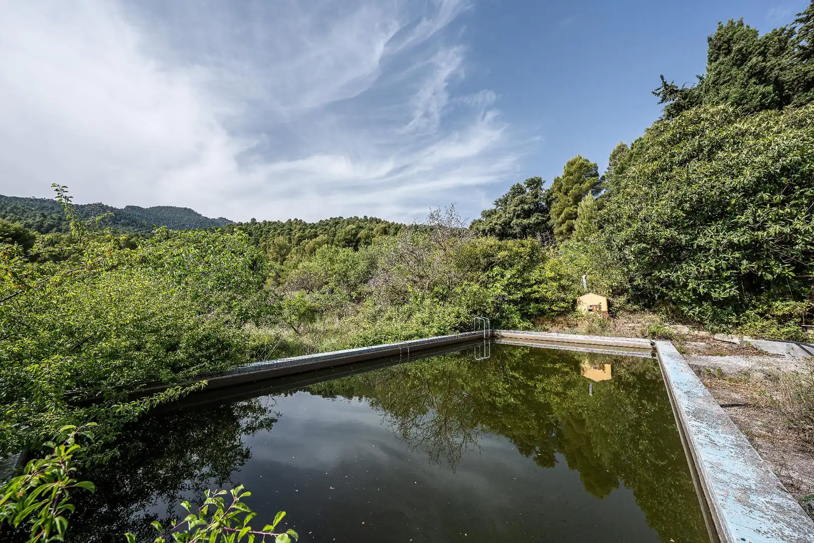 Piscina de Finca rústica en venta en Moratalla con Piscina
