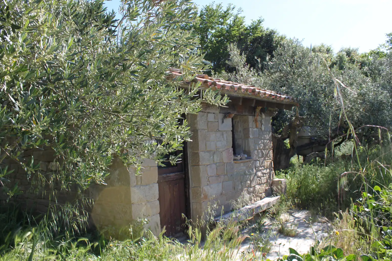 Jardín de Terreno en venta en Tafalla