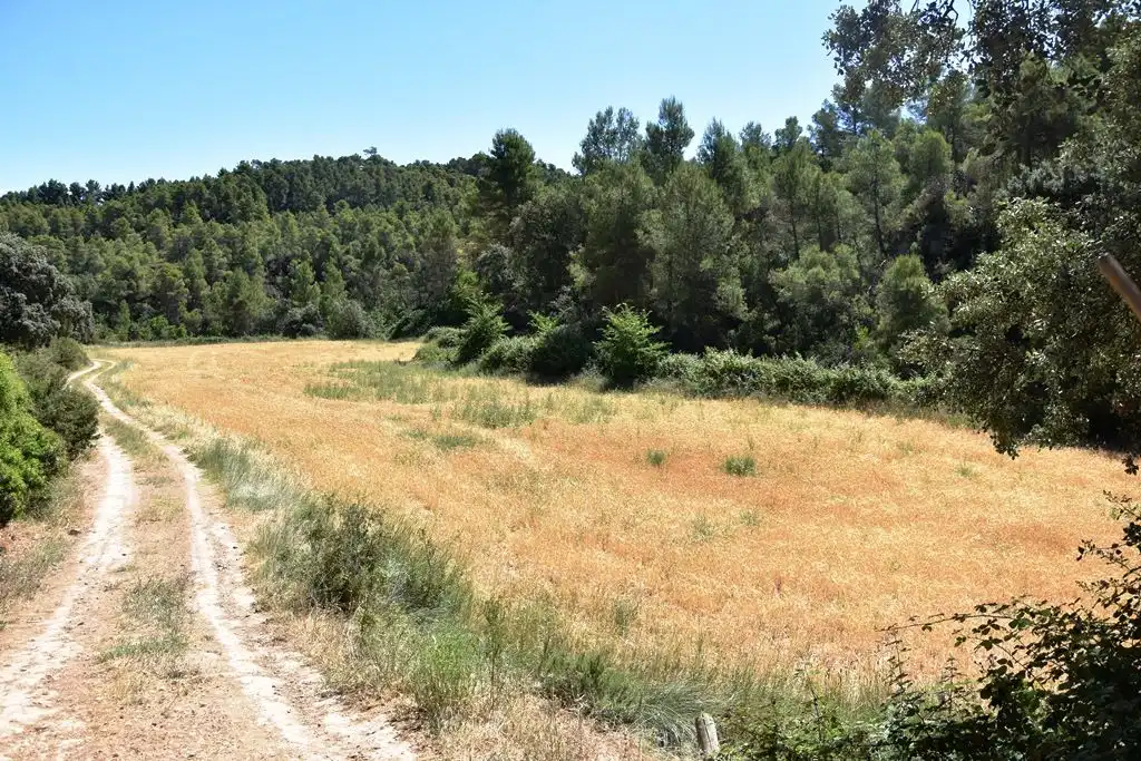 Terreni e lotti in vendita a Valderrobres