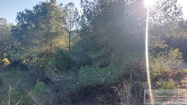 Terreno residencial en Venta en Bonastre