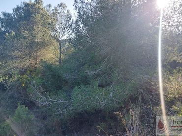 Terreni e lotti in vendita a FALONGUES