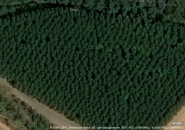 Finca rústica en venta en Cortes y Graena