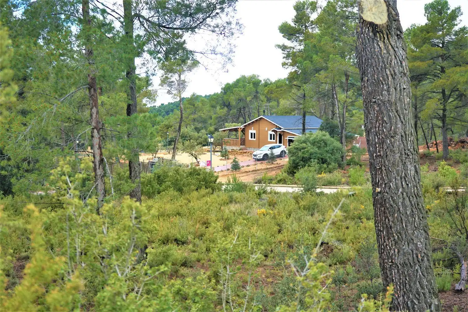Terreno rústico en venta en Calleja Hontanar 78, imagen 18