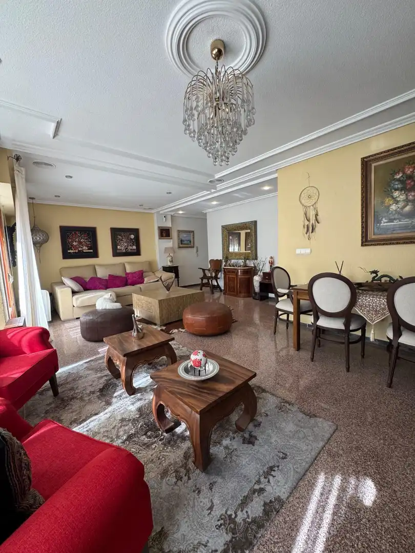Sala d'estar de Pis en venda en Elche / Elx amb Aire condicionat, Calefacció i Jardí privat