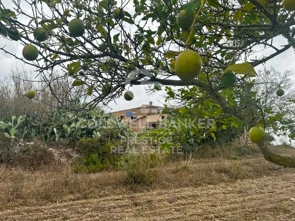 Casa rustica in vendita a Artà Poble, imagen 9