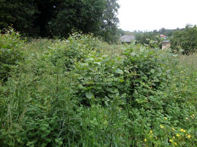 Terreno residencial en Venta en os Oleiros en Nós