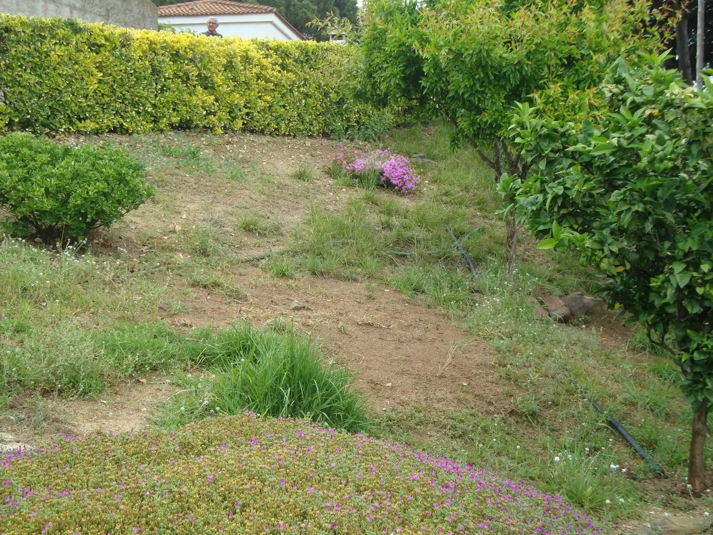 Houses for sale in Sant Cebrià de Vallalta  with Private garden, Storage room and Balcony