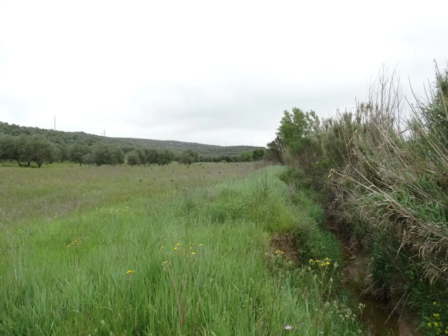 Lands and plots for sale in Calle CERRO LIMON, imagen 17