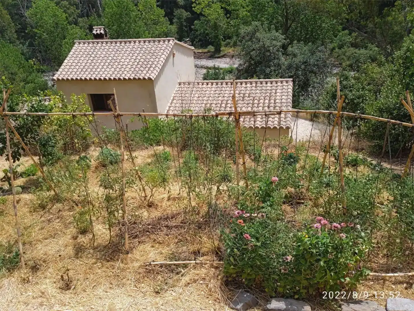 Finca rústica en venta en Genalguacil con Jardín privado