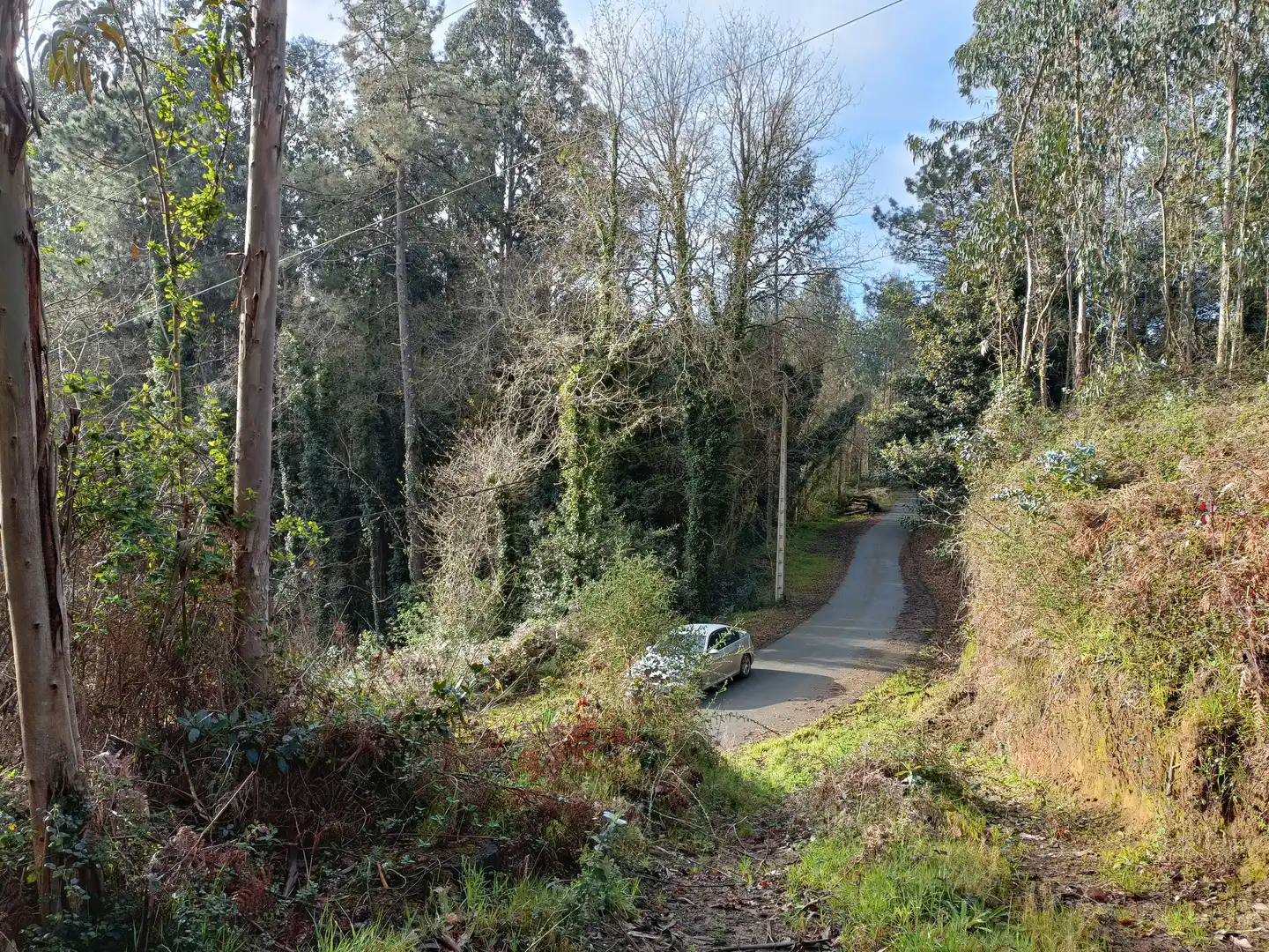 Terrain rustique à vendre à Oza dos Ríos, imagen 5