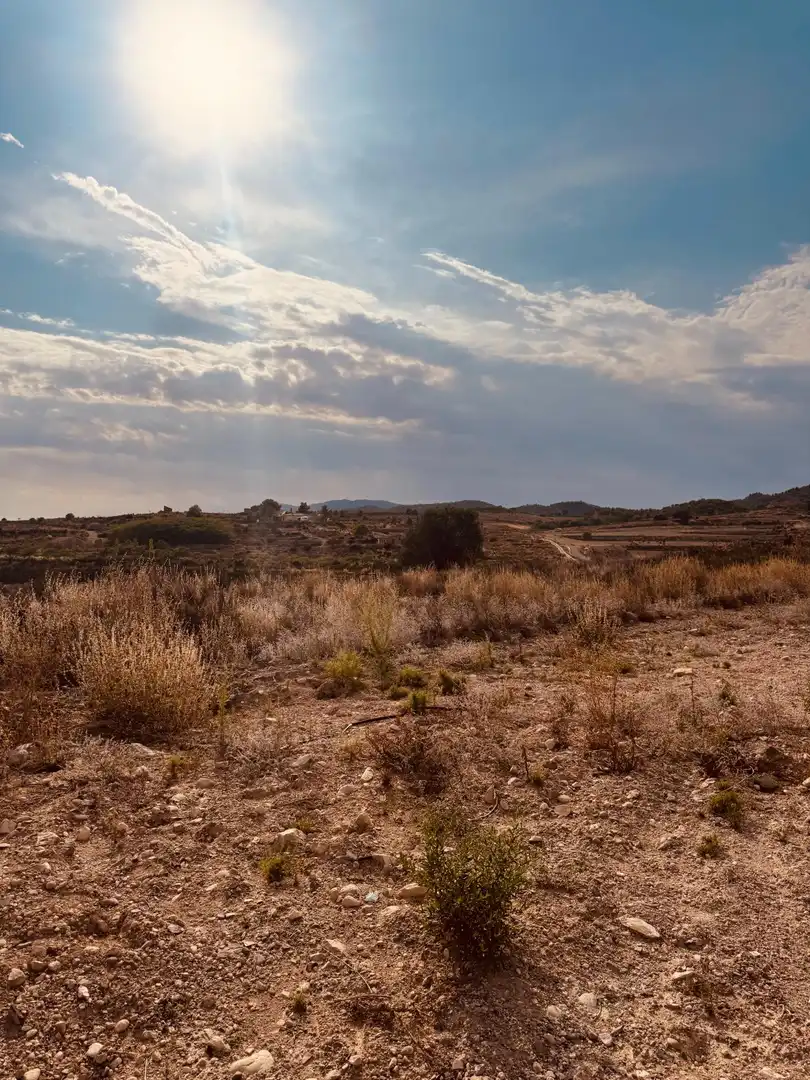 Terrain rustique à vendre à Campo de Murcia