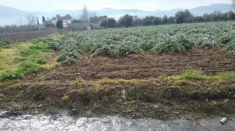 Foto 3 de Finca rústica en venda a Campus de la Salud, Granada