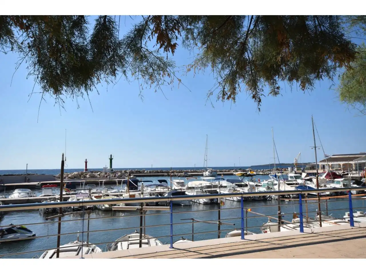 Business premises for sale in Paseo Magdalena Rigo Lliteras 28, imagen 13