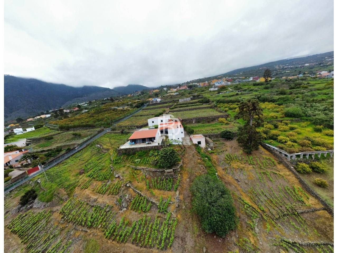 Exterior view of Country house for sale in La Orotava  with Private garden, Terrace and Furnished