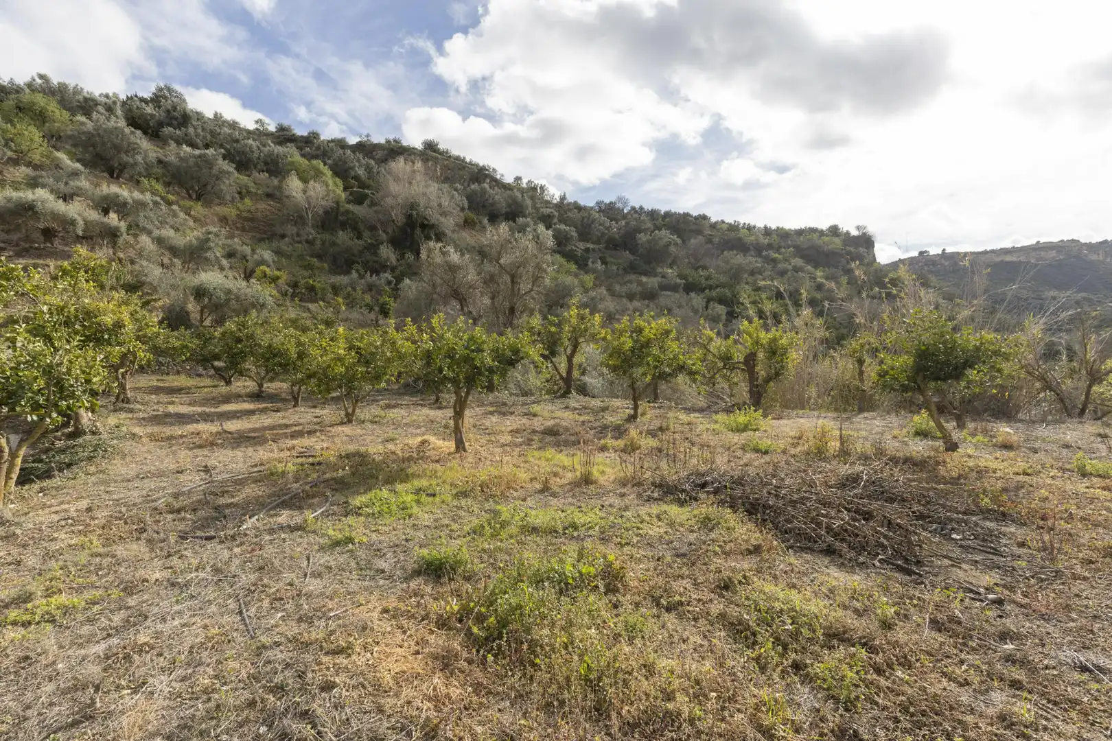 Terreno en venta en El Valle
