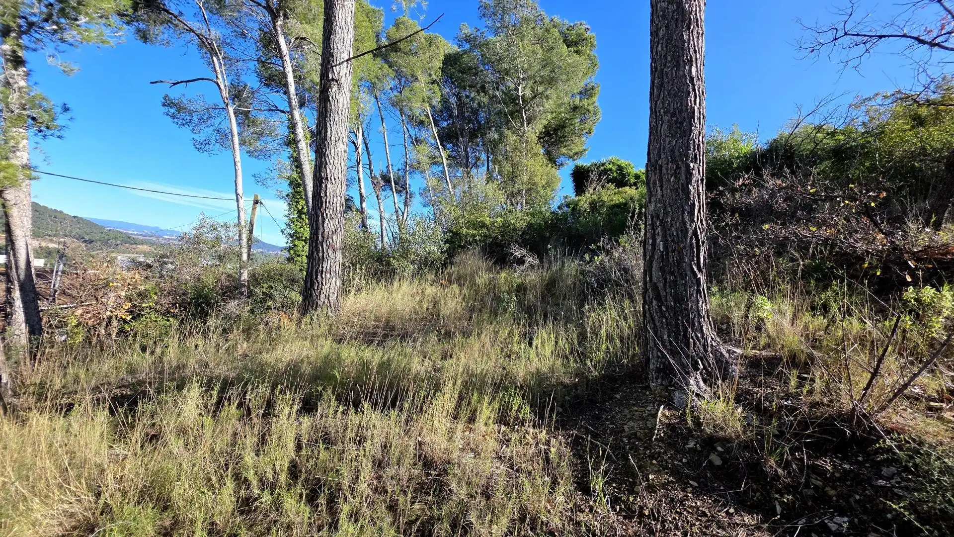 Wohnbaugrundstück zum Verkauf in Cervelló, imagen 14