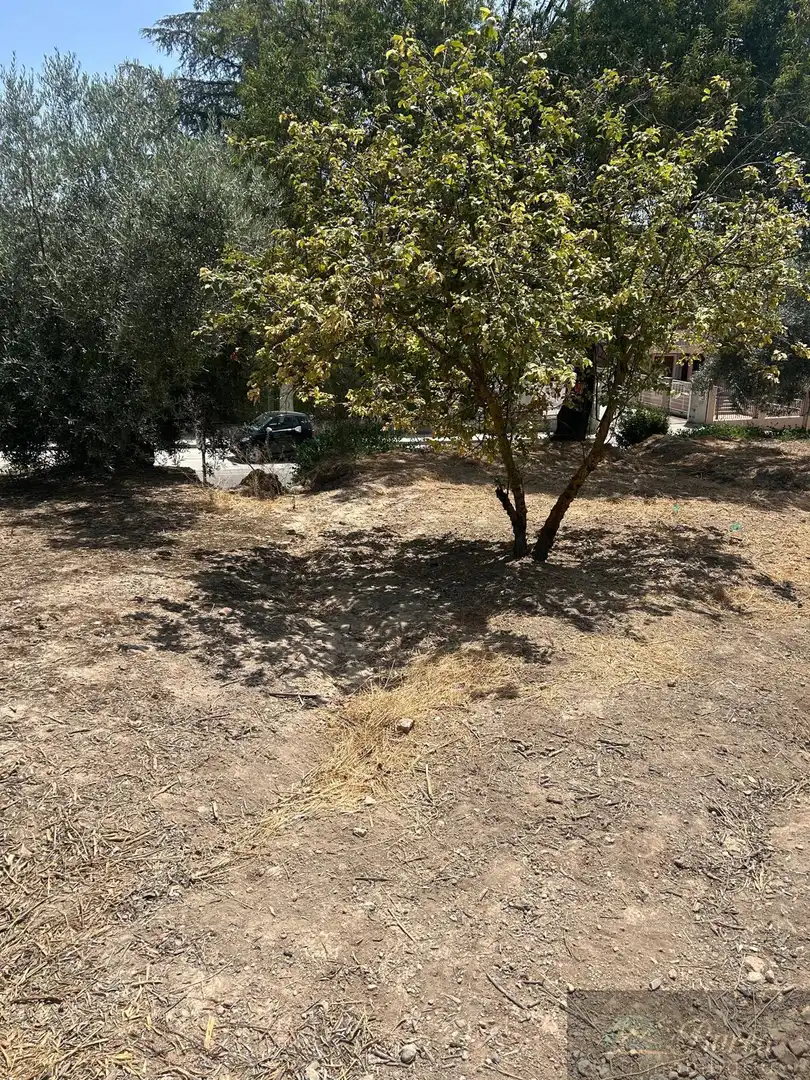 Maison à vendre à Rute, imagen 26
