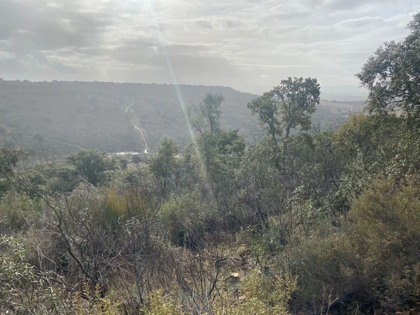 Terreno en venta en Anchuras