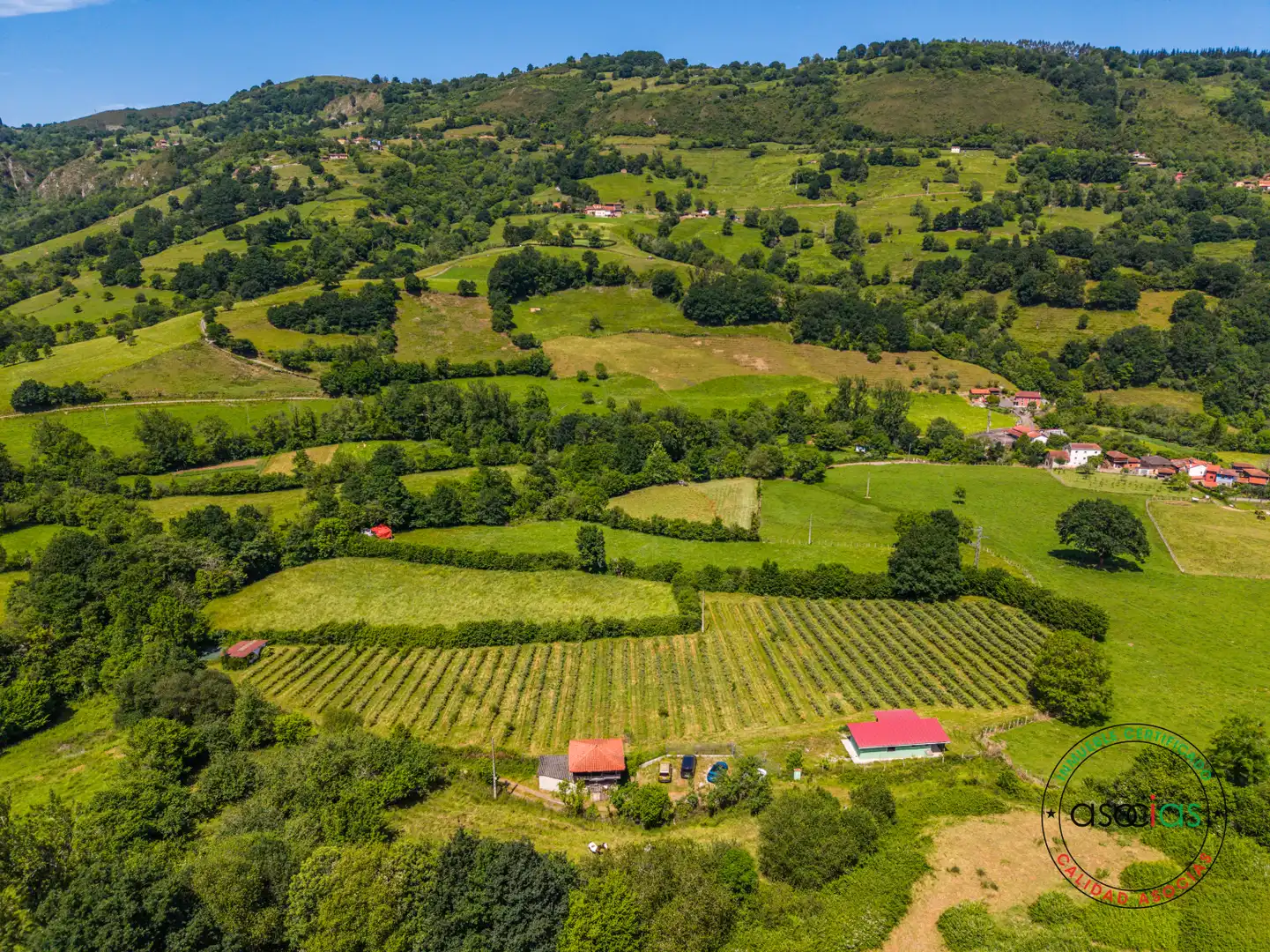 Terreno rústico en venta en COALLA