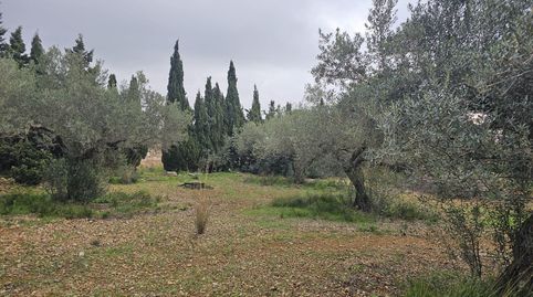 Foto 2 de Finca rústica en venta en Nord, La Ràpita