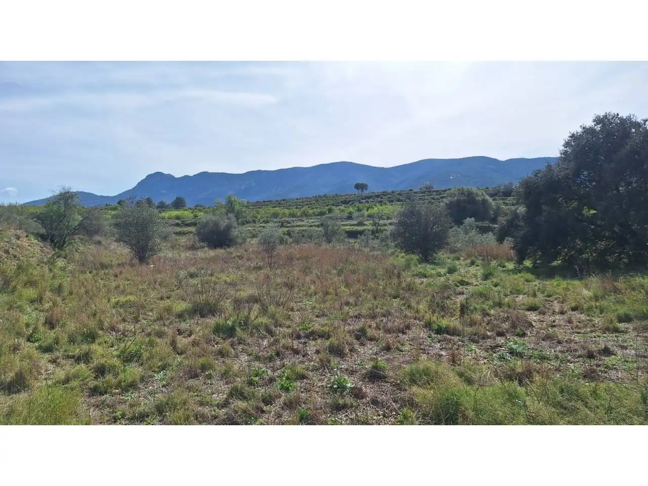 Terreno residencial en venta en Pasaje Alfogas, imagen 3