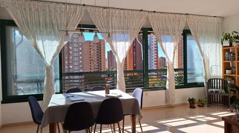 Photo 2 of Flat for sale in Munícipe, Juzgados - Plaza de Toros, Benidorm