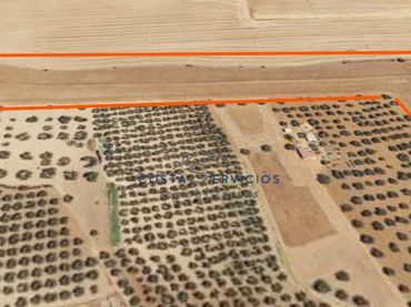 Terreno rústico en venta en Gibraleón