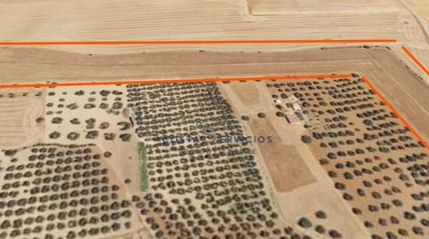 Terreno agrario 1 Hectarea