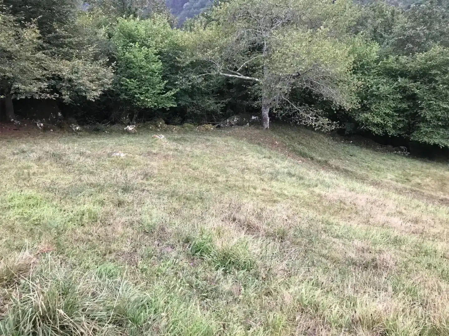 Finca rústica en venda en Piloña