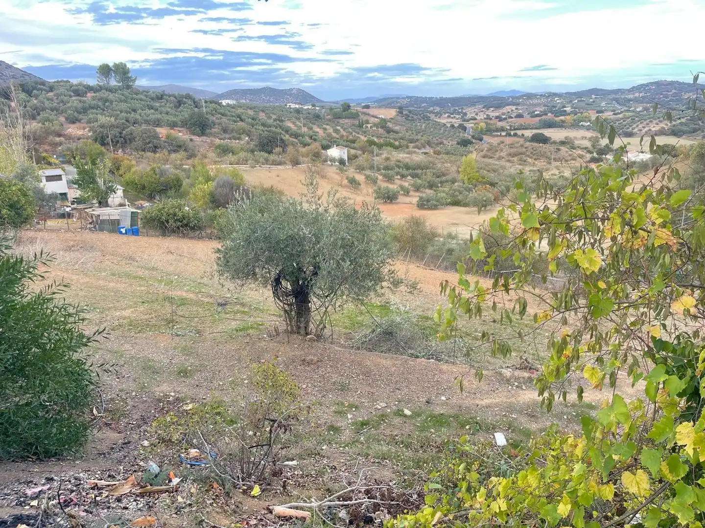 Terreni e lotti in vendita a Archidona, imagen 18