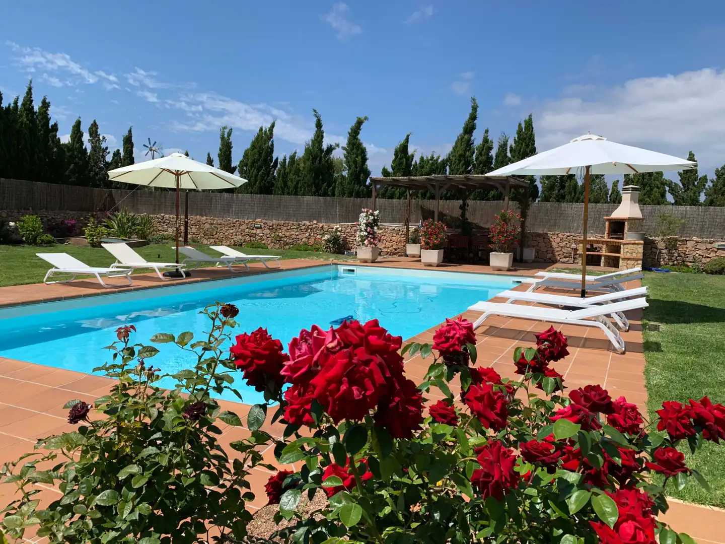 Piscina de Casa o xalet en venda en Formentera amb Aire condicionat, Calefacció i Jardí privat