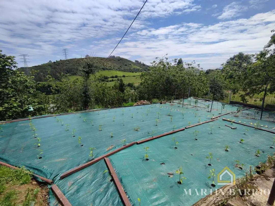Garden of Land for sale in Muskiz