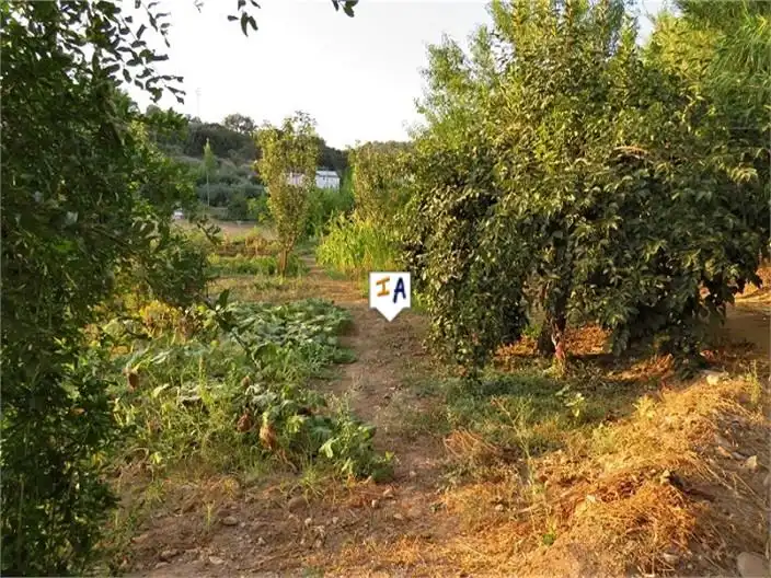 Casa rústica en venda a Fuensanta de Martos, imagen 3