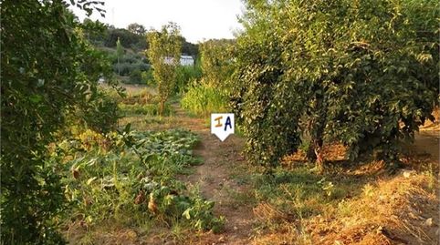 Photo 3 of Country homes for sale in Fuensanta de Martos, Jaén