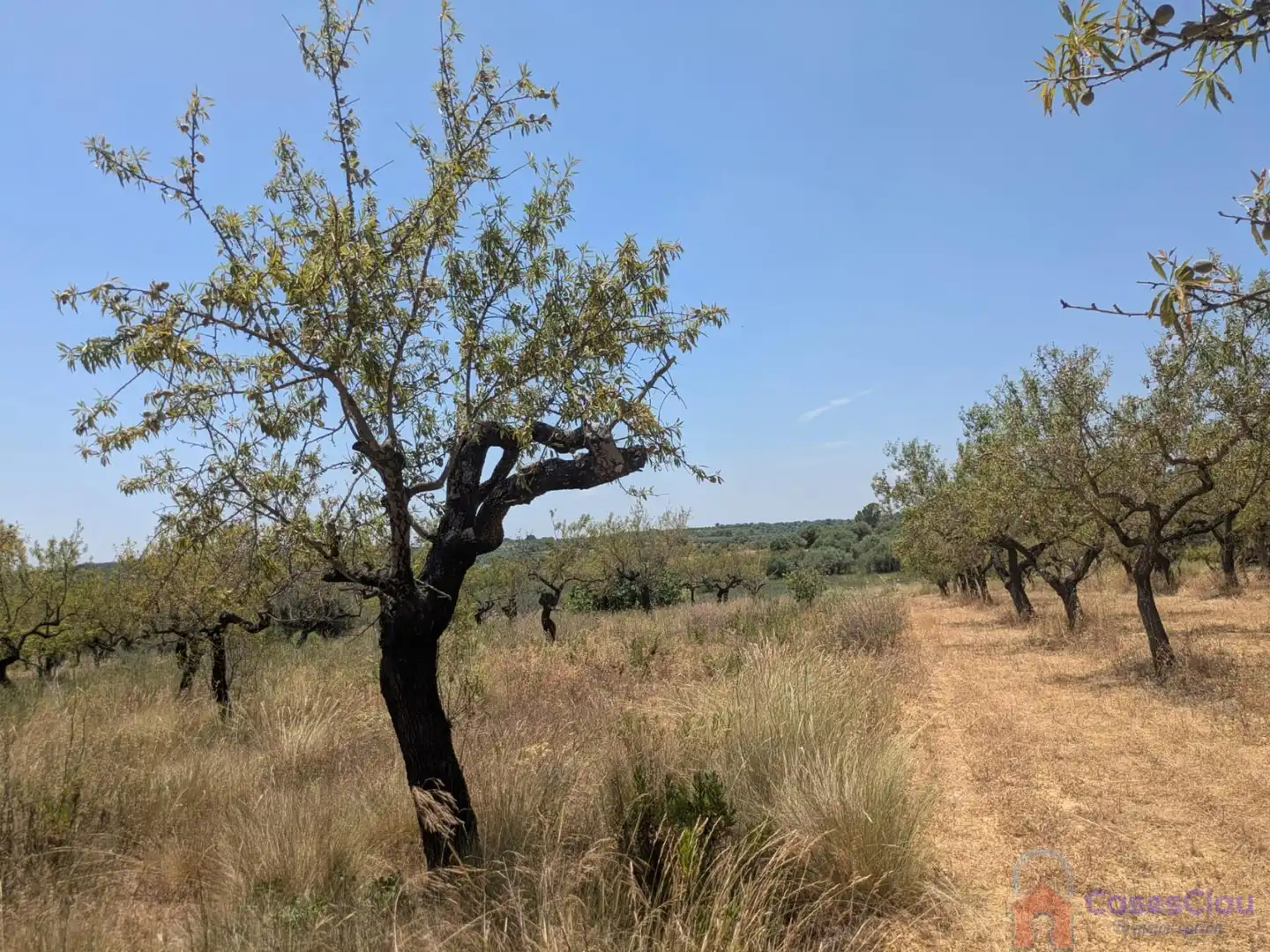 Finca rústica en venta en Vilanova d'Alcolea